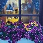 Julianna Nyaralo Holiday home Csopak