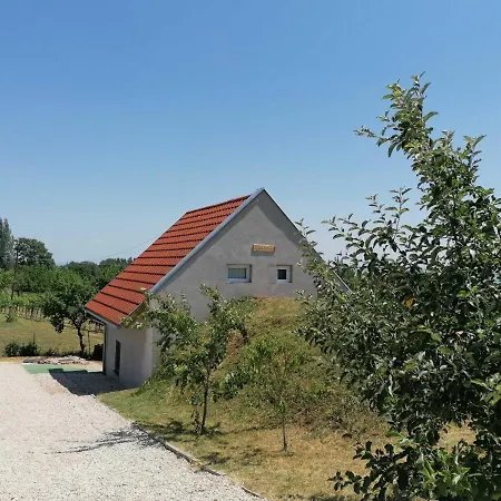 Julianna Nyaralo تشوباك