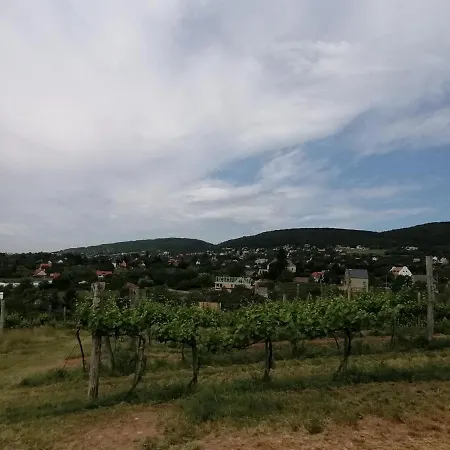 Prázdninový dům Julianna Nyaralo *